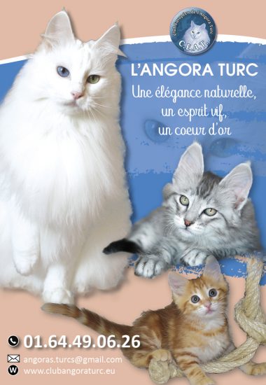 ANGORA TURC_1_4-page2